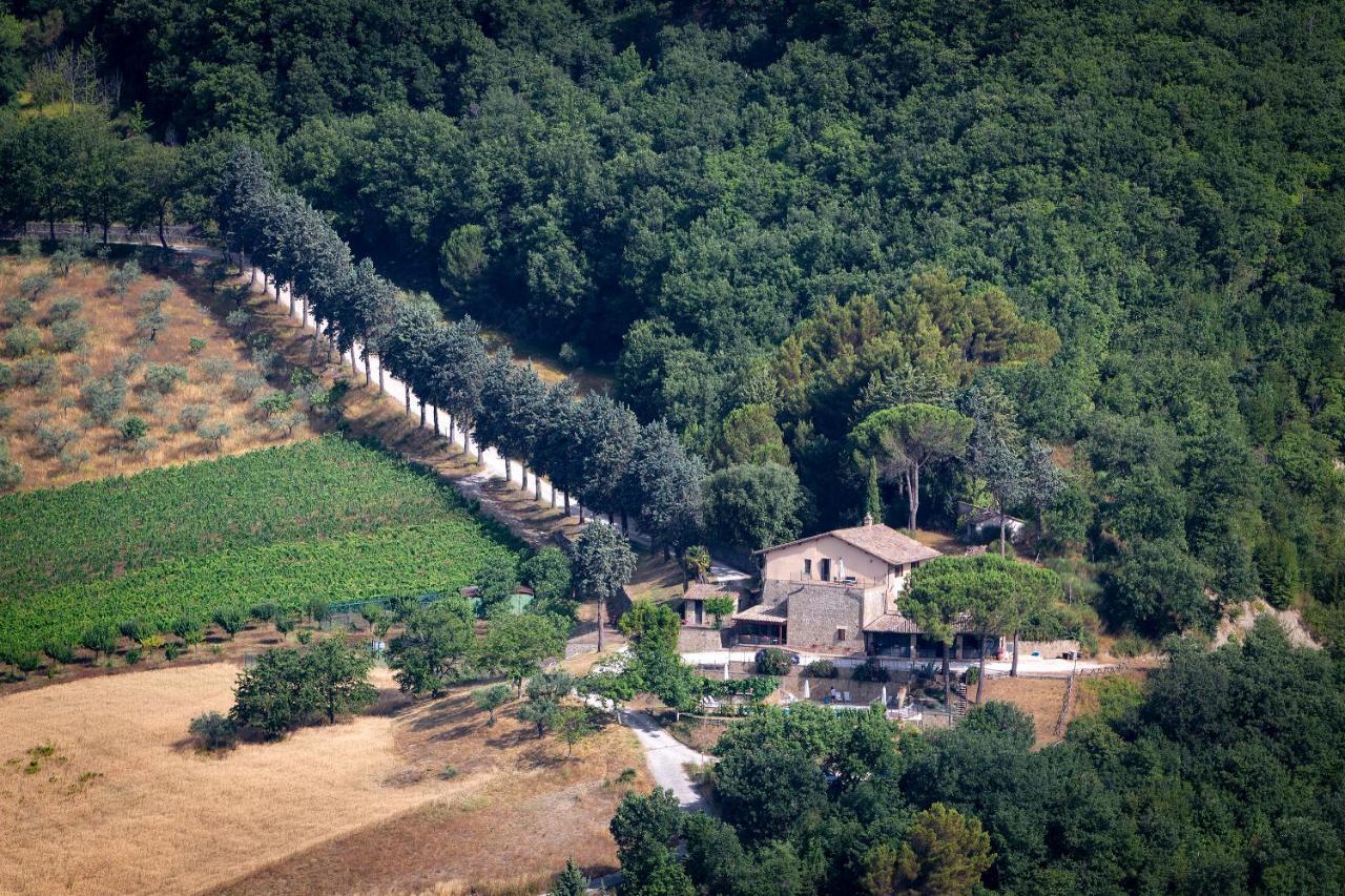 Agriturismo Colle Pu Pieve San Nicolo Exteriér fotografie