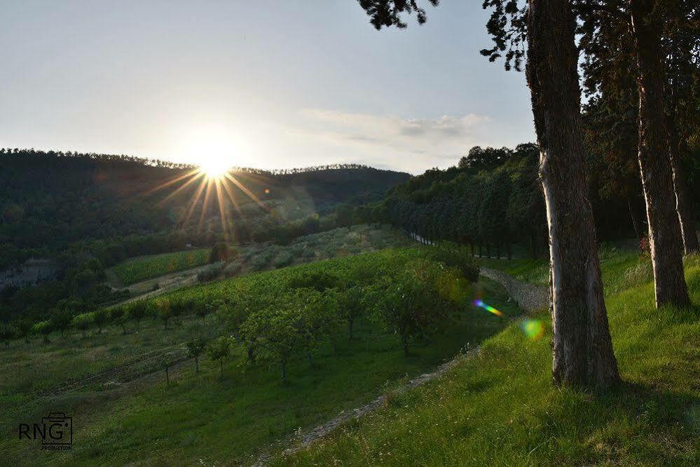 Agriturismo Colle Pu Pieve San Nicolo Exteriér fotografie