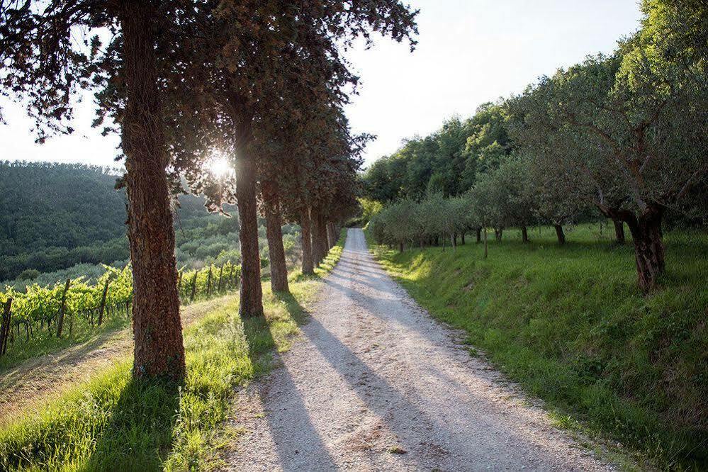 Agriturismo Colle Pu Pieve San Nicolo Exteriér fotografie